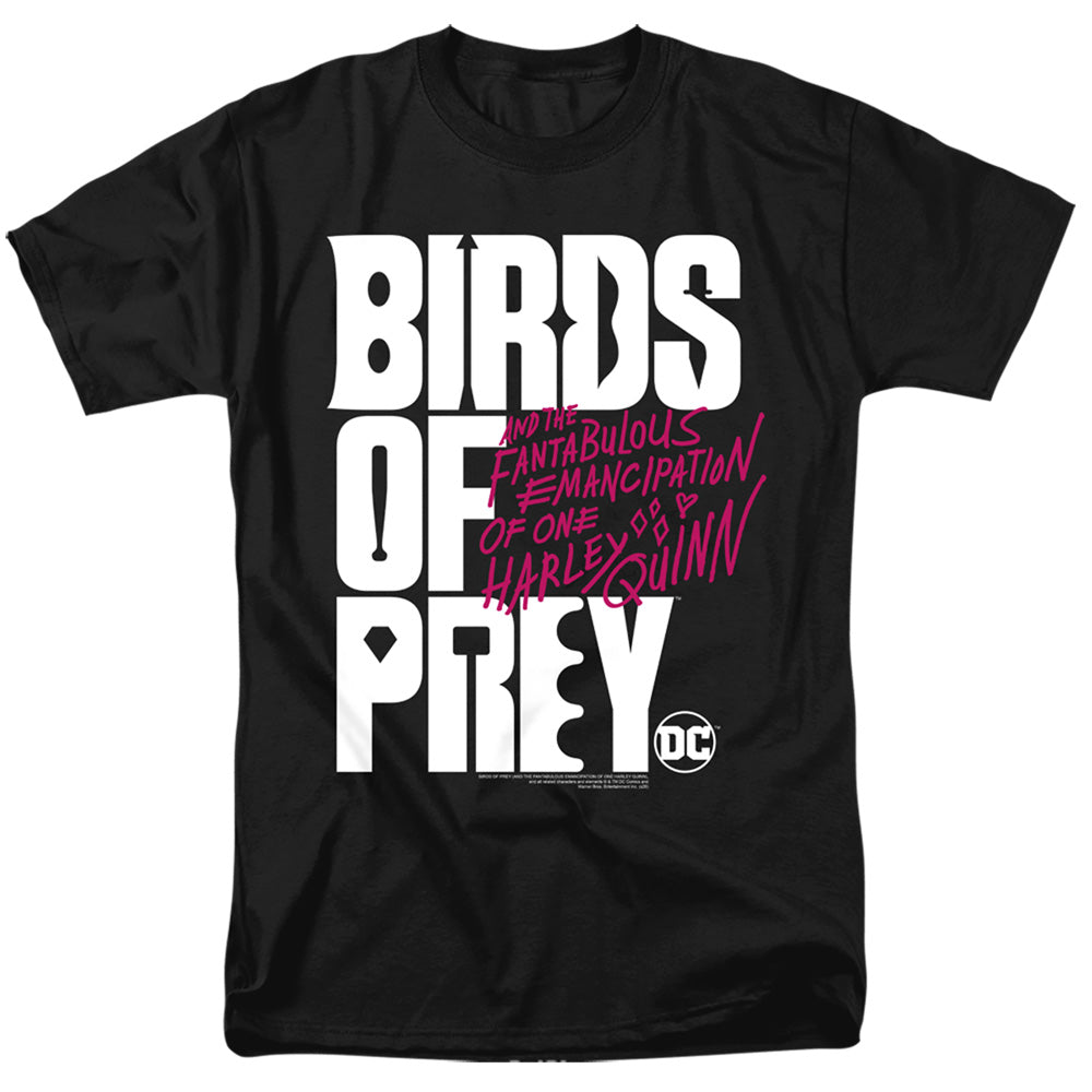 Men's Birds Of Prey Of Logo Tee product image 1