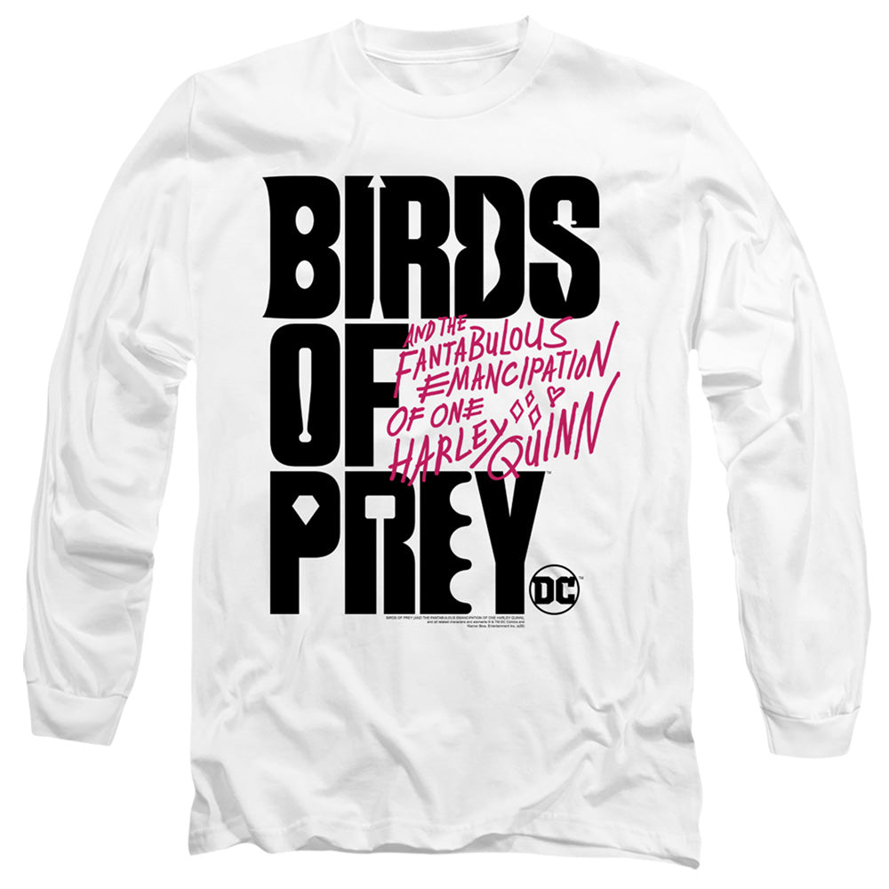 Men's Birds Of Prey Of Logo Long Sleeve Tee product image 1