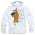 Scooby Doo Evolution of Pullover Hoodie product image 1
